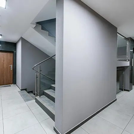 Niebieski Optilocus Gdansk