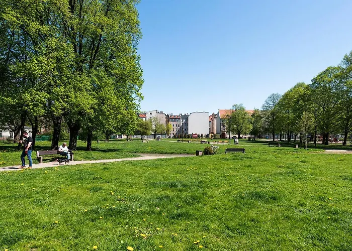 Apartman Niebieski Optilocus